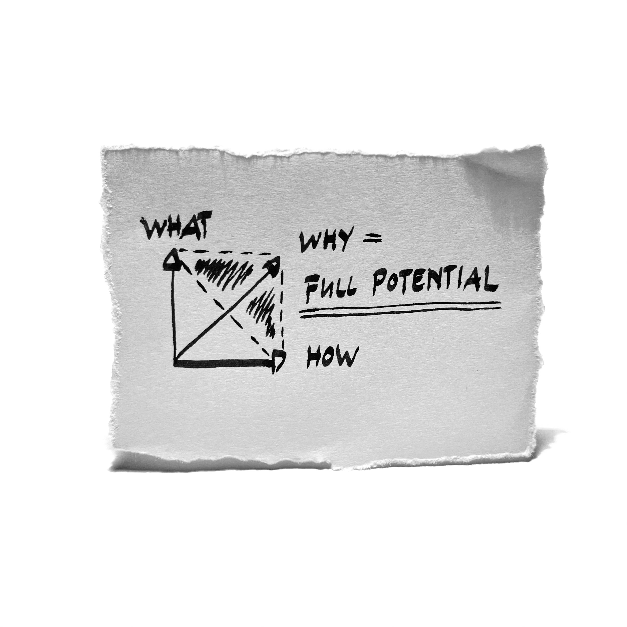 What x How x Why = Potential